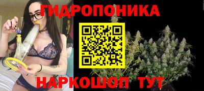 jwh Шахты