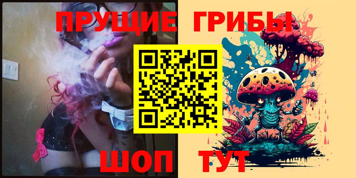 как найти наркотики  Псилоцибиновые грибы Magic Shrooms  Вход с VPN  Тайшет 